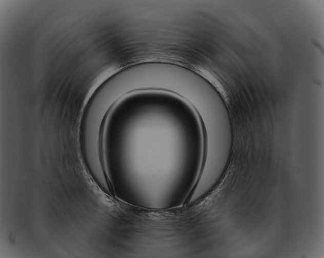 X0000092321138200710051252