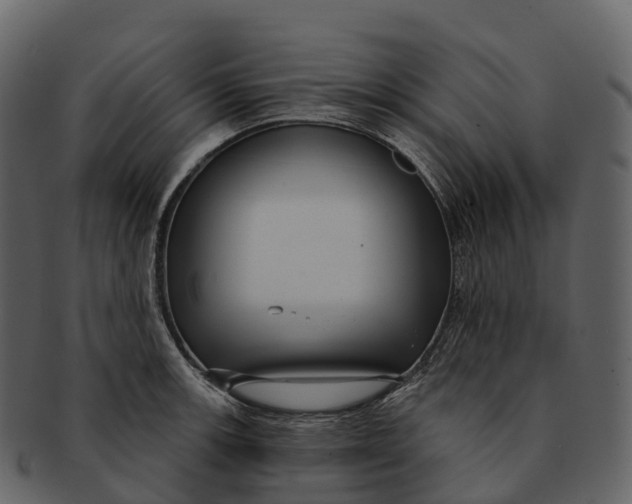 X0000092321139200710051252