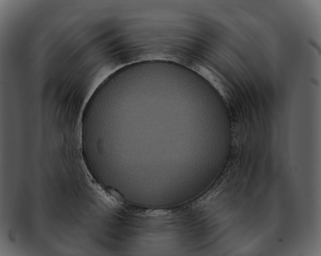 X0000092321140200710051252