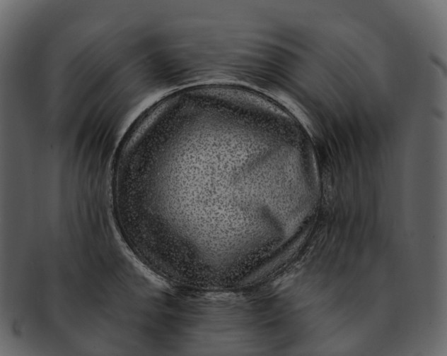 X0000092321142200710051252