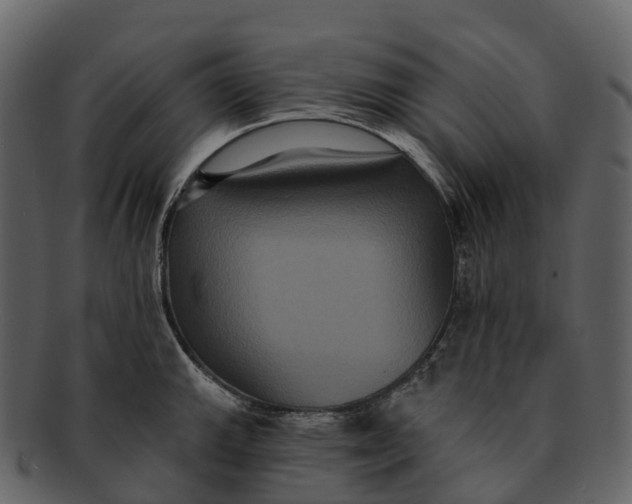 X0000092321143200710051252