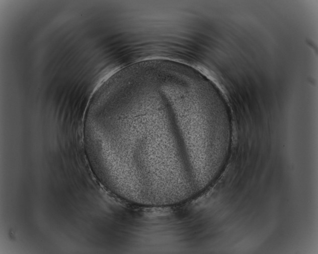 X0000092321145200710051252