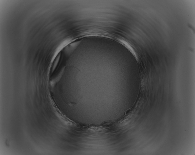 X0000092321146200710051252