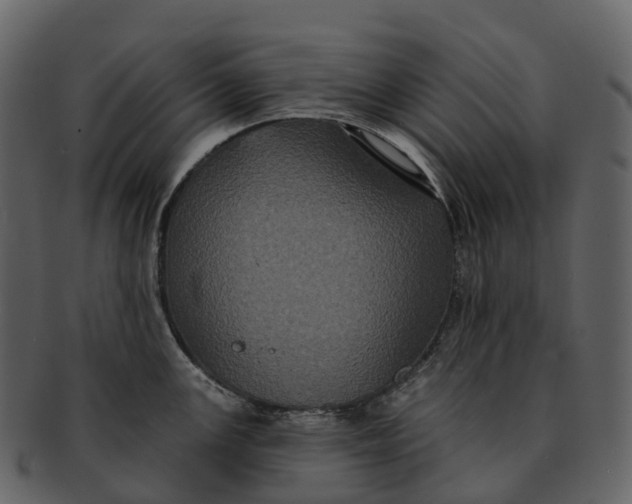 X0000092321147200710051252