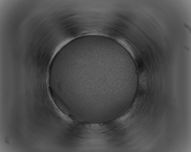 X0000092321149200710051252