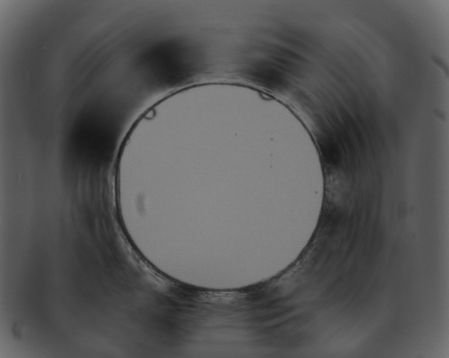 X0000092321150200710051252