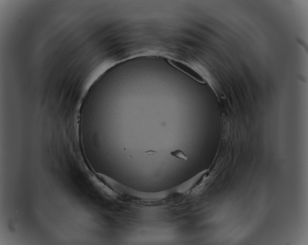 X0000092321151200710051252