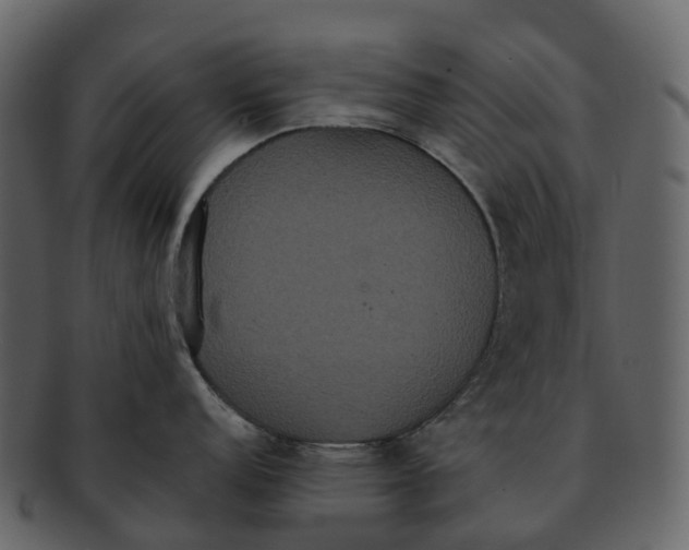 X0000092321152200710051252