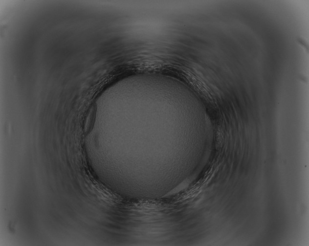 X0000092321153200710051251