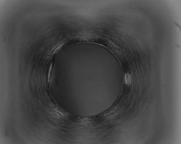 X0000092321155200710051251