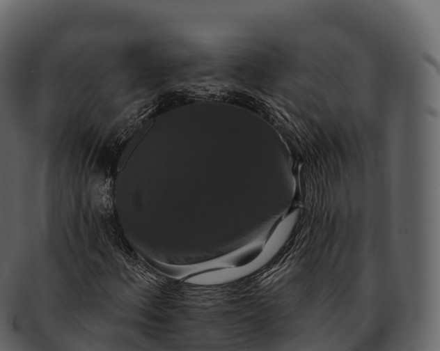X0000092321156200710051251