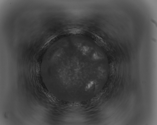X0000092321158200710051251