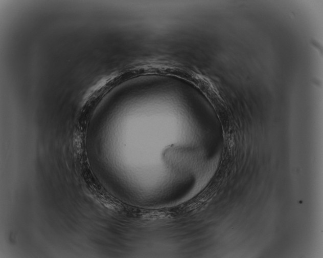 X0000092321159200710051251