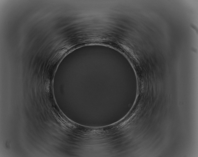 X0000092321161200710051251