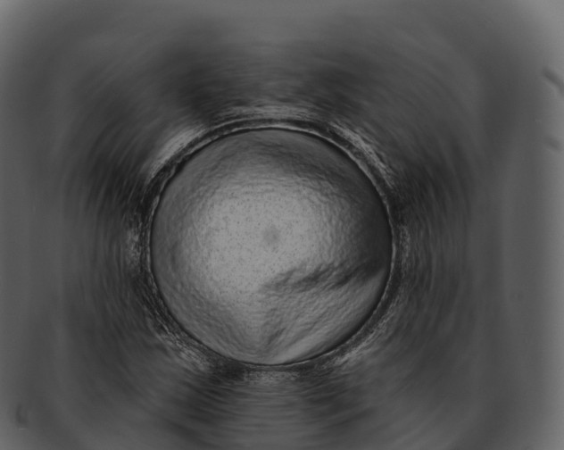 X0000092321163200710051251