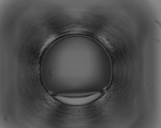 X0000092321164200710051251