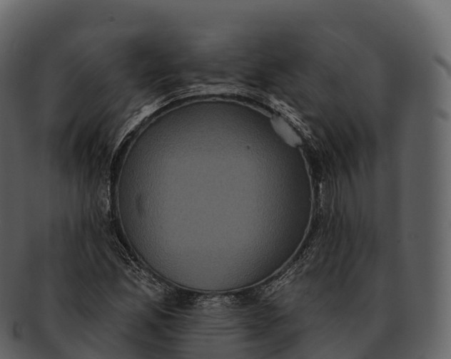 X0000092321165200710051251