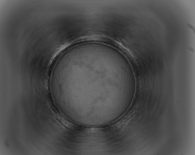 X0000092321166200710051251