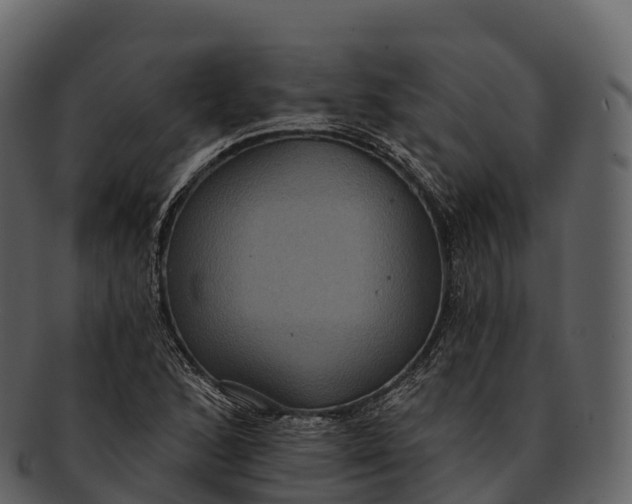X0000092321168200710051251