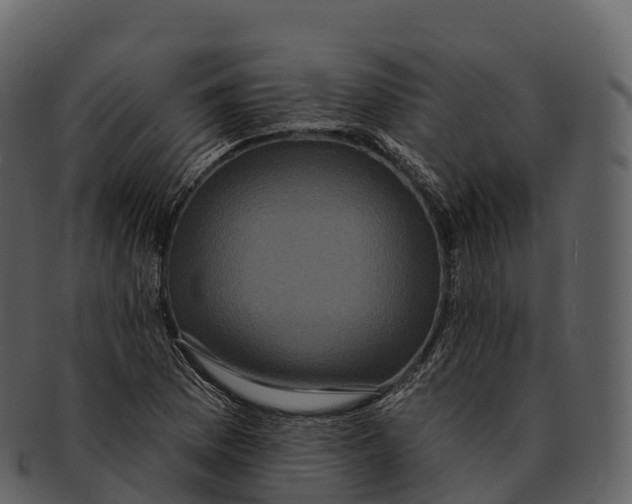 X0000092321169200710051251