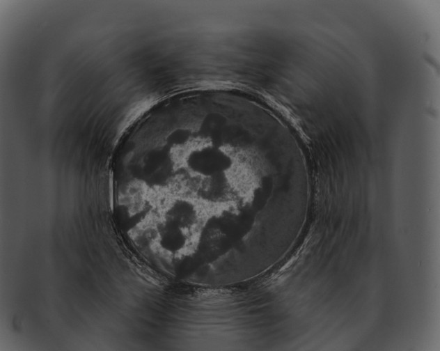 X0000092321171200710051251