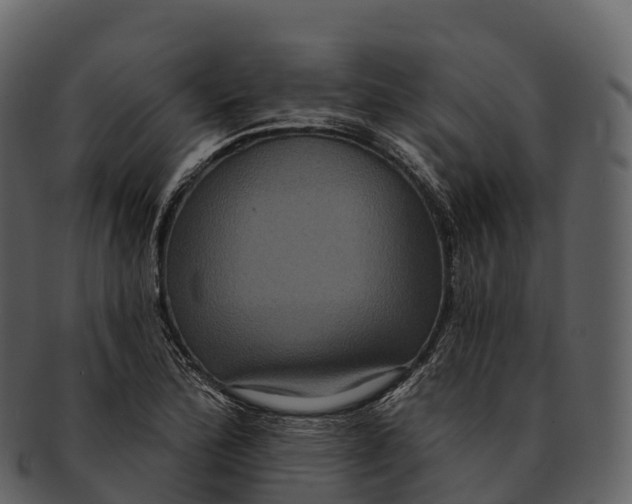 X0000092321172200710051251