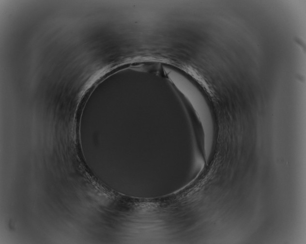 X0000092321173200710051251