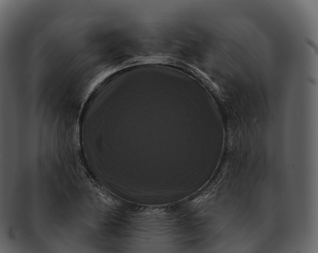 X0000092321174200710051251