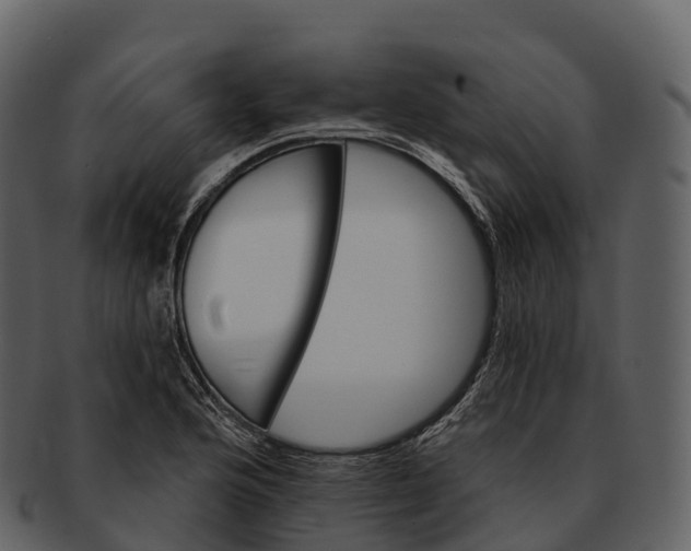 X0000092321176200710051251