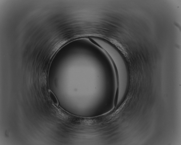 X0000092321177200710051251