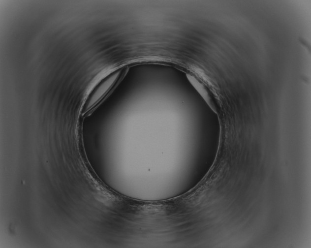 X0000092321181200710051251