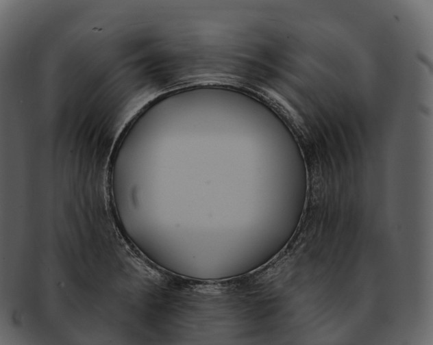 X0000092321182200710051251