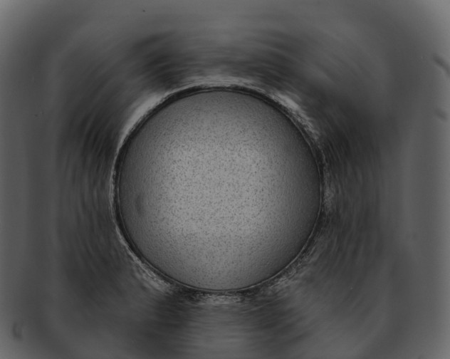 X0000092321183200710051251