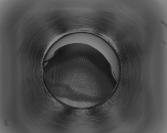 X0000092321184200710051251