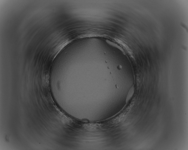 X0000092321185200710051251