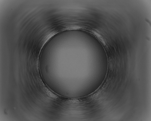 X0000092321186200710051251