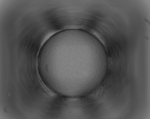 X0000092321187200710051251