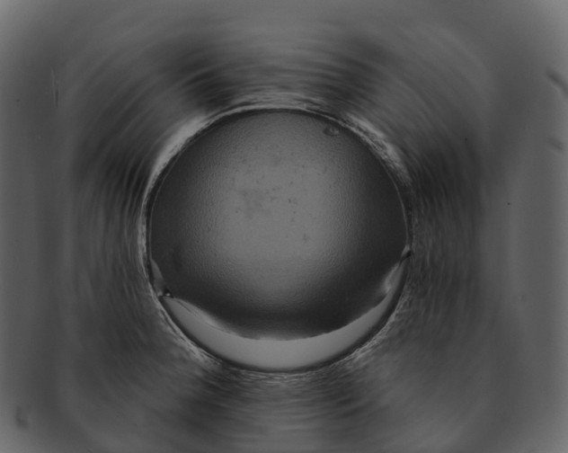 X0000092321188200710051251