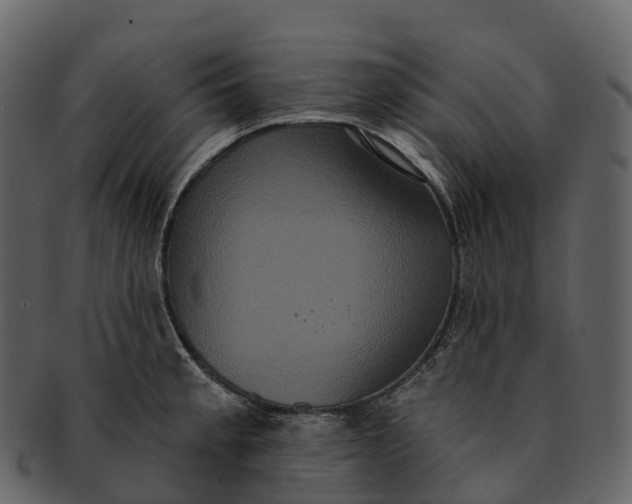 X0000092321189200710051251