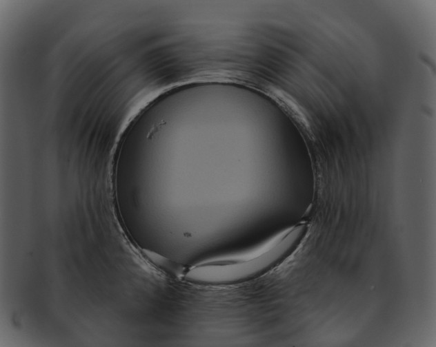 X0000092321192200710051251