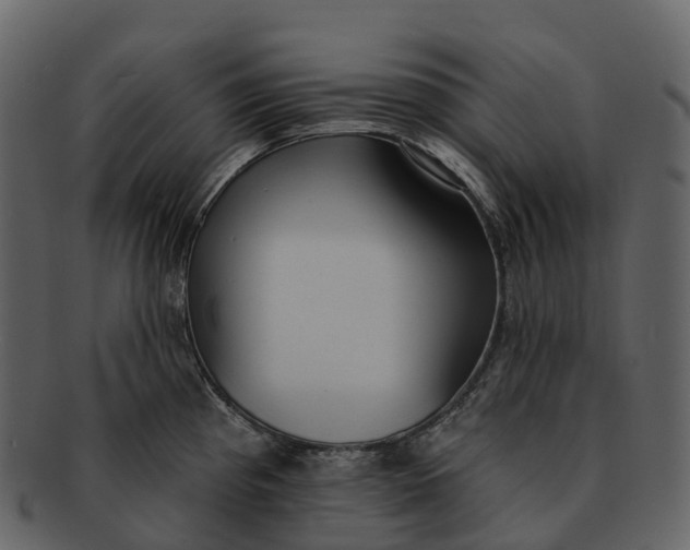 X0000092321193200710051251