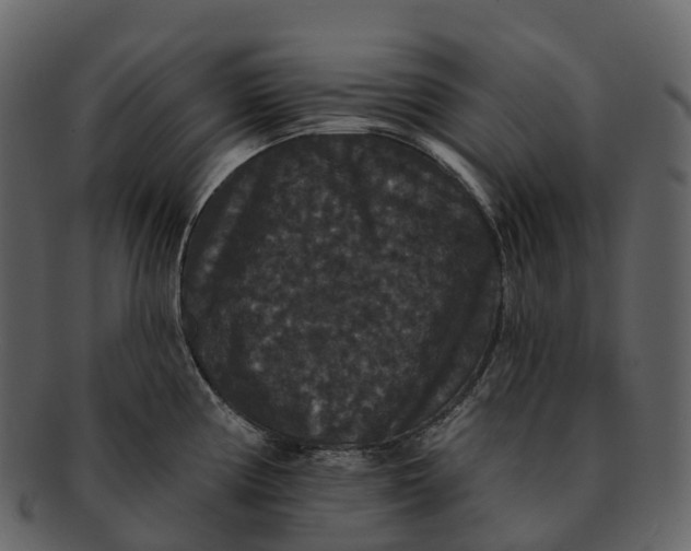 X0000092321194200710051251