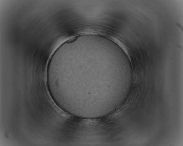X0000092321195200710051251