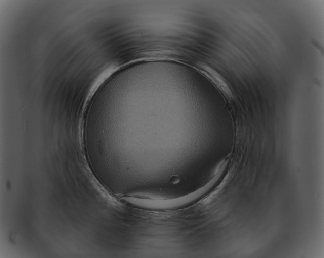 X0000092321196200710051251