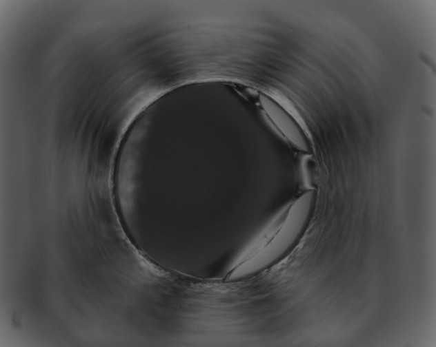 X0000092321197200710051251