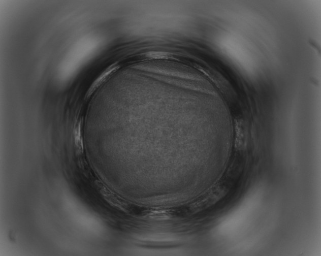 X0000092321198200710051251