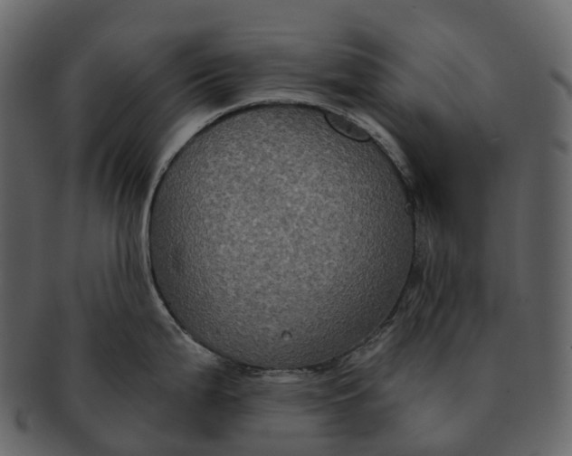 X0000092321199200710051251