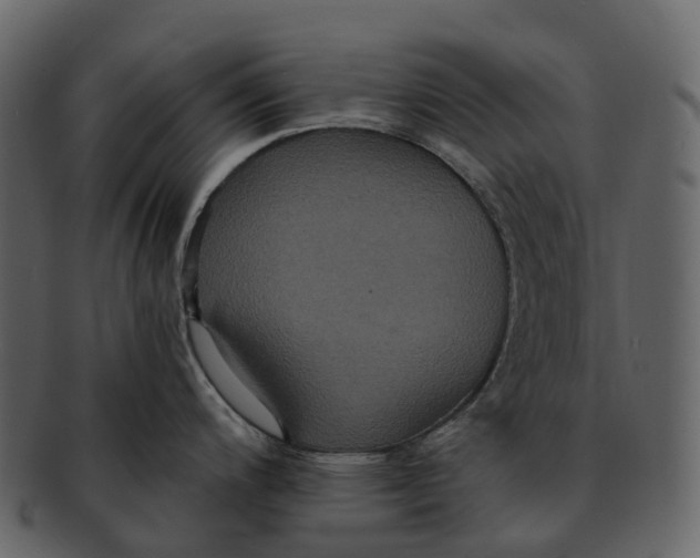 X0000092321200200710051251