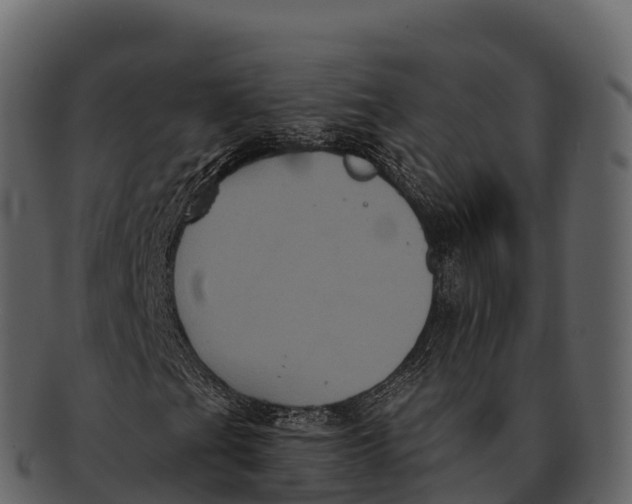 X0000092321201200710051250