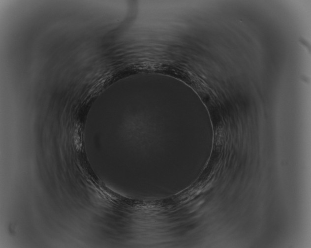 X0000092321202200710051250